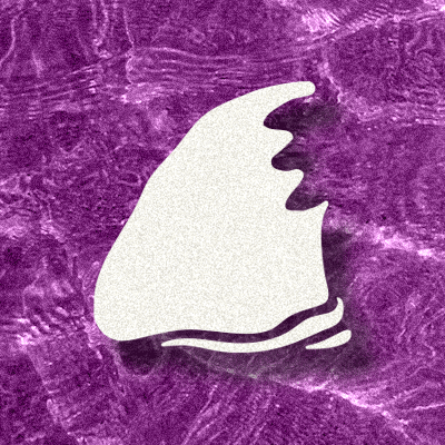 Shark Attack Logo